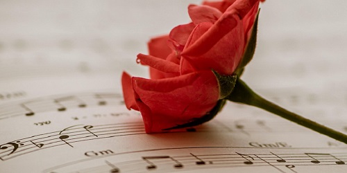 musik banner